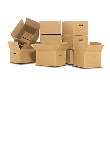 our team thumbnail image